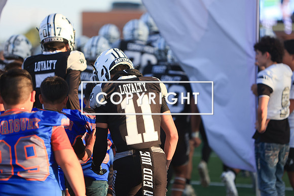 6E5A0130