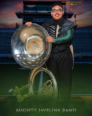 Andrew Briones