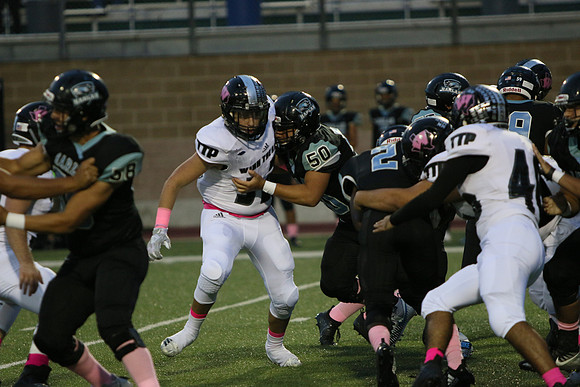 IMG_2911