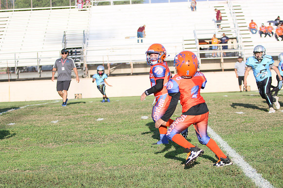 IMG_5260