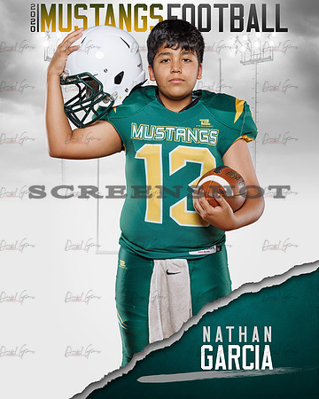 Nathan digital