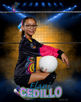 Elani1