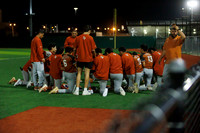Valley View Tigers