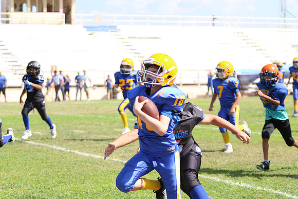 059A3335