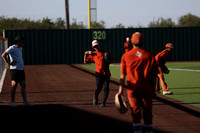6E5A3354