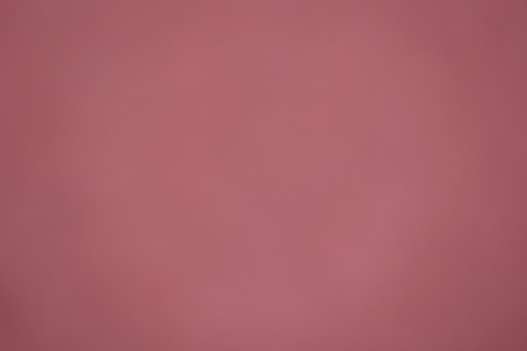 6E5A4216