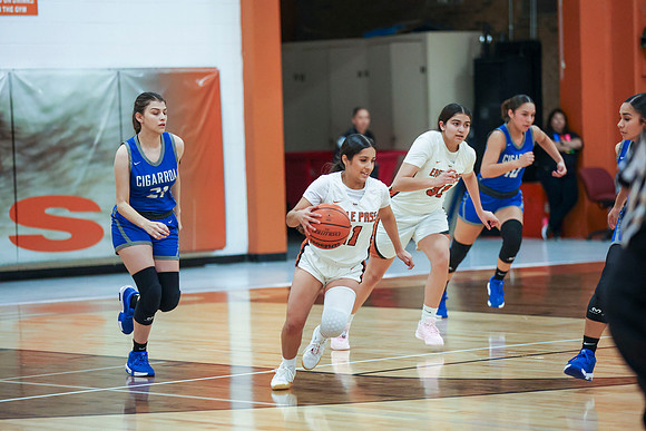 6E5A5352