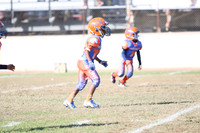 8U Broncos vs Cowboys championship game.
