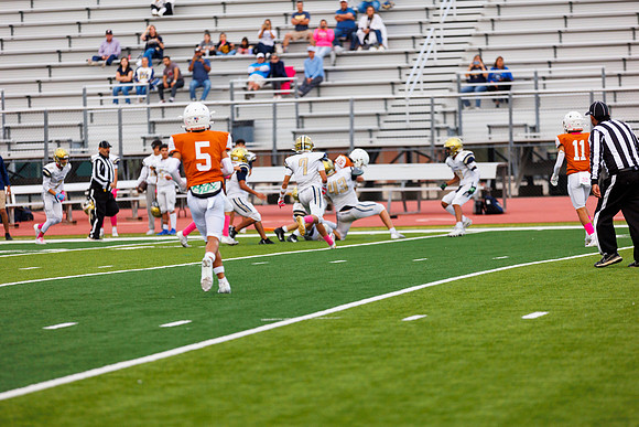 6E5A0022