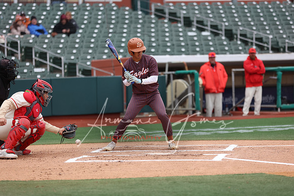 6E5A0446