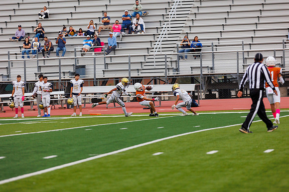 6E5A0008
